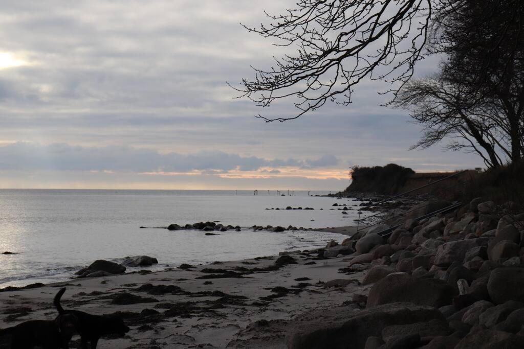 Ferienwohnung Fleckeby Schlei Fjord Light 外观 照片